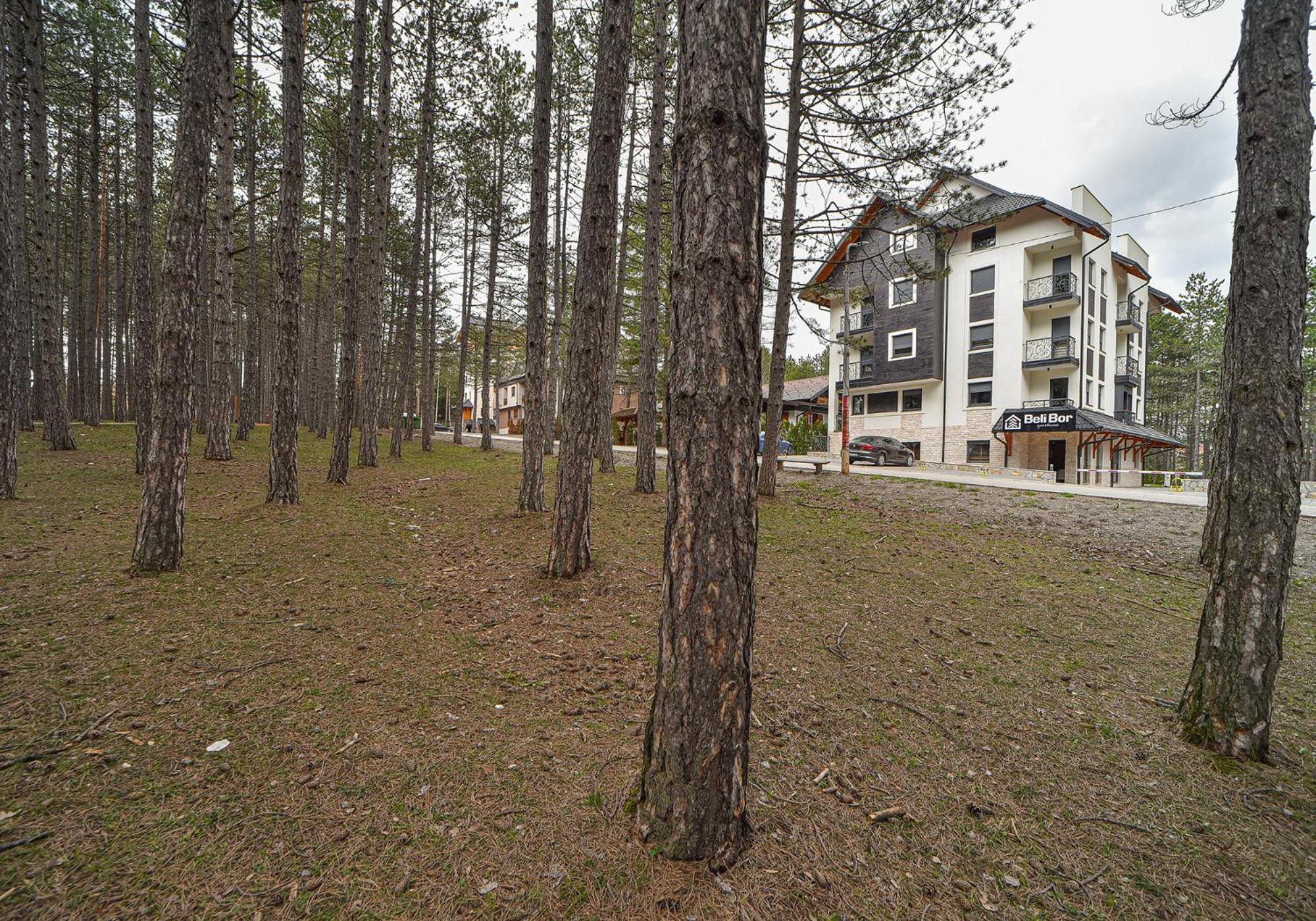 Aparthotel Beli Bor Zlatibor Exterior foto